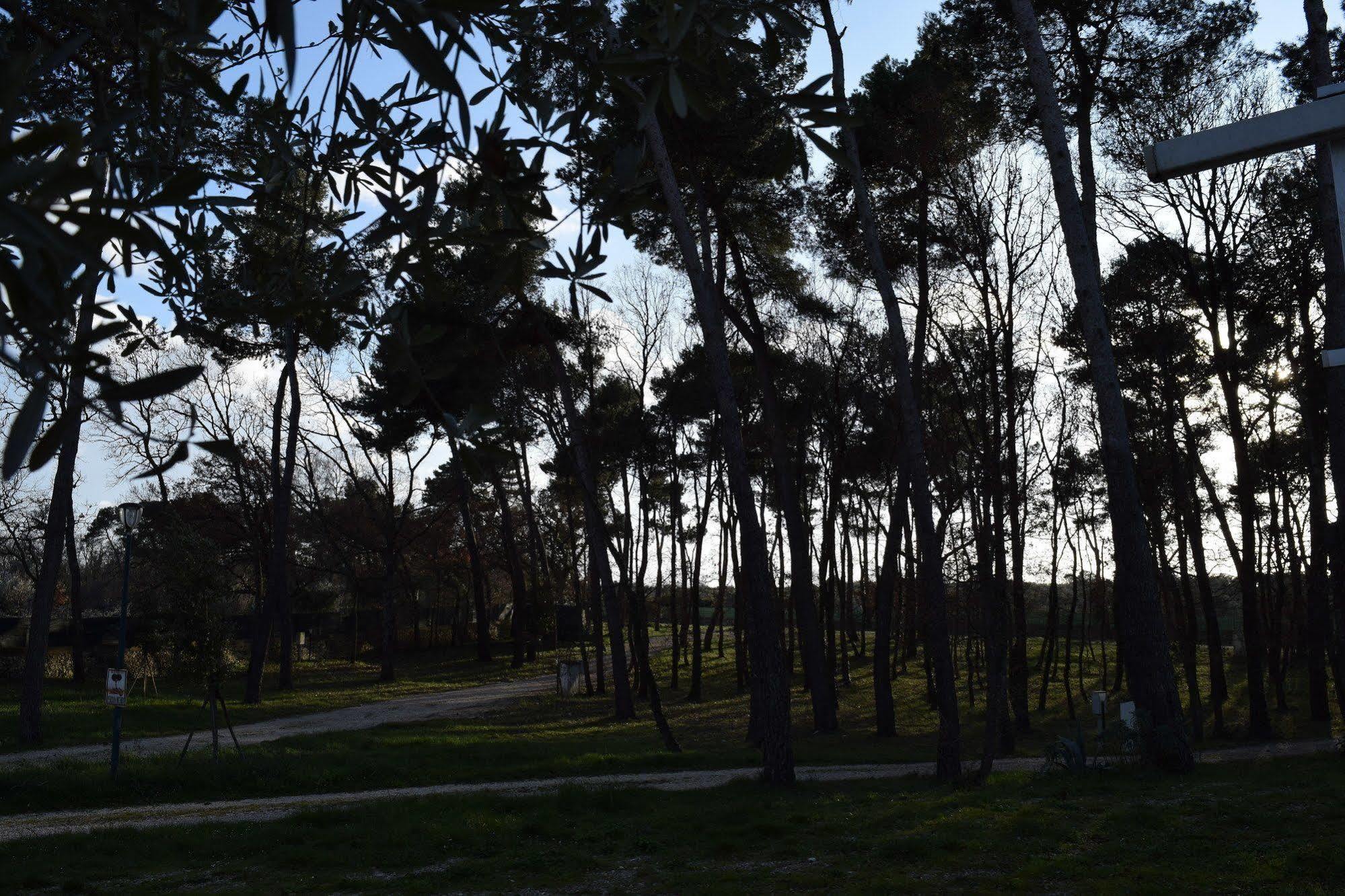 Villaggio Camping Bosco Selva Alberobello Exteriör bild